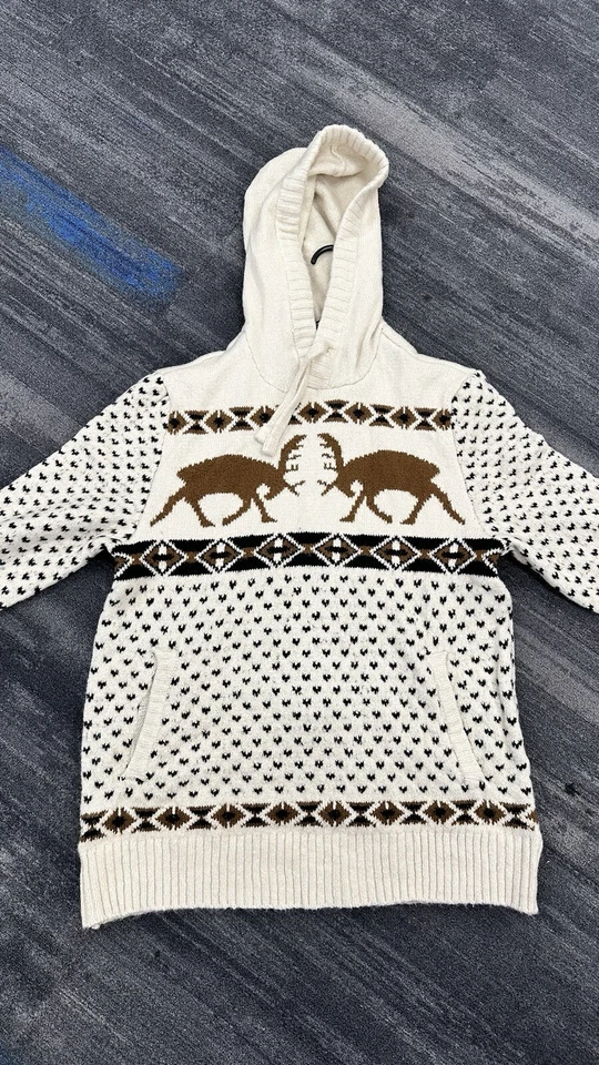 Suéter American Eagle Outfitters Para Hombres Mediano Blanco Alce Pullover Tejido Sudadera con Capucha Foto 1 de 4