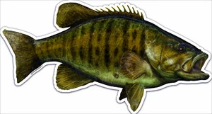THE RIVER SMALLMOUTH BASS AUFKLEBER KLAR VINYL UV BESCHICHTETE TINTEN, 7,5" - Bild 1 von 1