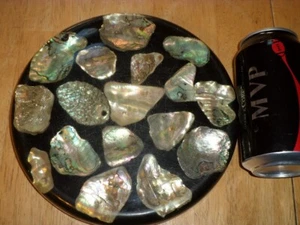 ABALONE SHELLS TRIVET, KITCHEN & HOME TABLE WARE, 8" LENGTH [ USA ] #1970's yrs. - Picture 1 of 7