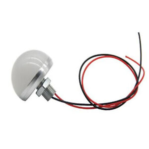 12V Multiple Color 28cm Pre Wired Mini LED Light Lamp Bulb DIY Home Decoration G