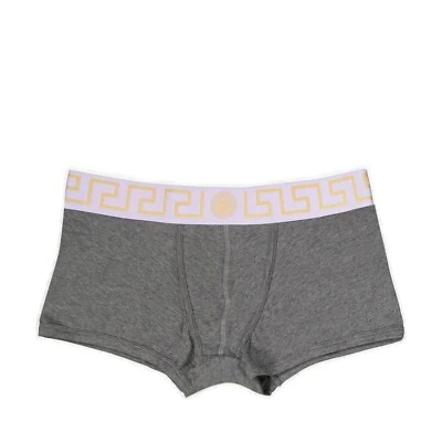 NWT Versace Mens Greca Border Trunk Brief Gray Purple Size 5 Medium - Image 1 of 4