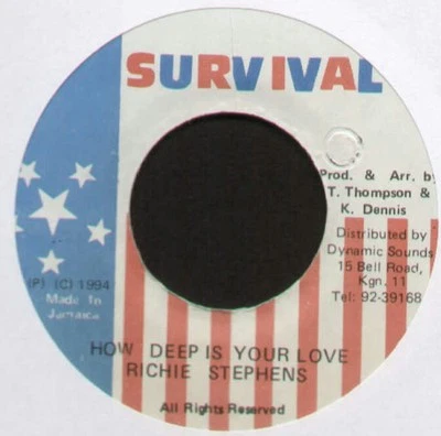 [BEE GEES] RICHIE STEPHENS~HOW DEEP IS YOUR LOVE~1994 JAMAICAN VINYL 7" SINGLE - Image 1 of 2