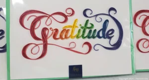 NEW - NIQUEA.D  - GRATITUDE - THANK YOU - GREETING CARDS x 3 - Bild 1 von 4