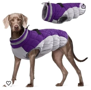 Dog Windproof Vest - Picture 1 of 16
