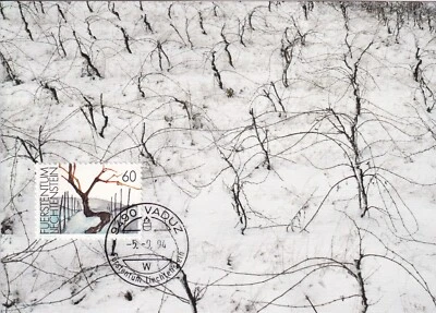 LIECHTENSTEIN 1994 FOUR FIRST DAY COVERS ON MAXI CARD, GRAPE PLANTS - Image 1 of 4