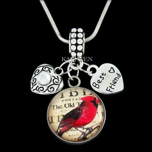 Cardinals Aparece Cuando Ángeles Are Cerca De , Pérdida Mejor Amigo Bff Recuerdo - Imagen 1 de 8