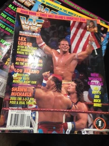 WWF WWE Magazine NOVEMBER 1993 Lex Luger + Catalog - Picture 1 of 3