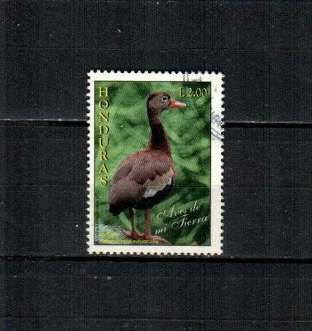 HONDURAS Scott's 382 ( 1v ) Duck F/VF Used ( 1997 ) #3 Cover