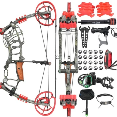 Archery Dual-use Compound Bow Set 30-60lbs Bow Hunting Shooting Target RHLH - Image 1 of 4