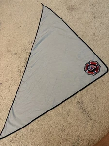 1976 Dixie Fellowship American Bicentennial Neckerchief Camp Steere Embroidery - Picture 1 of 6