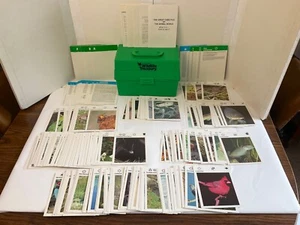 Illustrierte Wildtierschatzkammer *Tierkarten* Teiler Fakten Set Homeschool Koffer - Bild 1 von 15
