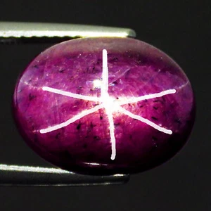 23.50 Ct Shocking Oval (14 x 13 mm)100% Natural Mozambique Red Star Ruby Gems - Picture 1 of 5