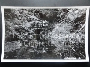 Devon LYDFORD GORGE showing people on the foot bridge c1950's RP Postcard - Picture 1 of 1