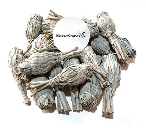 Paquete de incienso mancha de salvia blanca estilo mini antorcha de California 3""-4"" (24 piezas) #JC-5 - Imagen 1 de 6