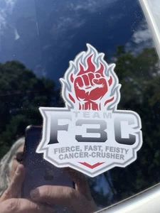 Cancer awareness sticker Fight Cancer Fierce Fast Feisty Cancer Crusher Team F3C - Picture 1 of 5