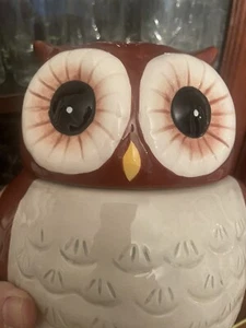 Owl Cookie Jar Ceramic Brown and White - Hand wash only - Picture 1 of 18