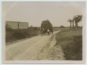(Normandie) Attelage vers Grand Couronne. Meule de foin. Fenaison. 1896. - Picture 1 of 1
