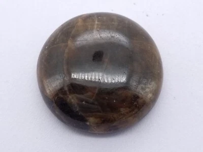 91.80 Ct Natural Untreated EGL Certified Round Cab Bi-Color Huge Sapphire - Image 1 of 4