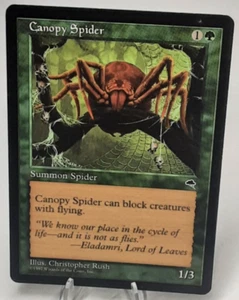 Canopy Spider - Tempest - MTG 1997 Magic The Gathering - Picture 1 of 6