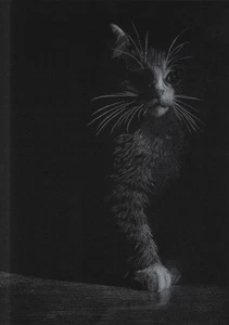 original drawing A3 54OrG artwork pastel modern cat portrait - Picture 1 of 3