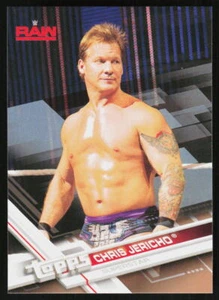 2017 Topps WWE Chris Jericho #13 WRESTLING - Picture 1 of 2