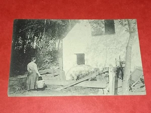 CPA BELGIQUE - Nieuport - Coin de ferme au Mei-Boom - Imagen 1 de 2