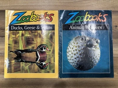 Vintage ZooBooks Zoo Books Magazine Ducks Geese Swans Animal Wonders - Unused Foto 1 de 4