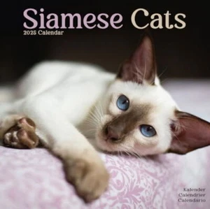 SIAMESE CATS - 2025 CALENDAR - BRAND NEW - 604267 - Picture 1 of 2