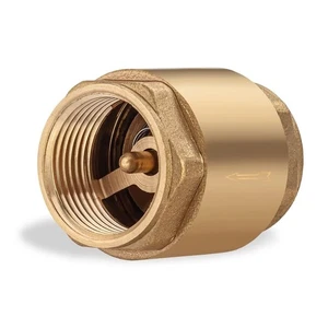 Brass One Way Check Valve 3/4" Female Backflow Preventer, 3/4 female, - Picture 1 of 8