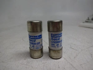 Lot of 2 Ferraz Shawmut A70QS20-22F 20 Amp 690 Volt AC Amp-Trap Fuse - Picture 1 of 3