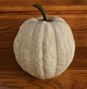 Hobby Lobby Faux Kürbis Kürbis Deko Harz weiß getupft Neu mit Etikett 8x9" - Bild 1 von 6