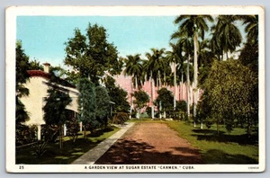 A Garden View At Sugar Estate Carmen Valle De Los Ingenios Cuba Postcard - Picture 1 of 3