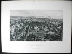 Stadt Büffel - 1873 Stahlstich - A.C. Warren - Bild 1 von 1