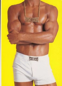 Promotional Postcard For Pure Swing V Feat R. Kelly, Montell Jordan, Portrait... - Picture 1 of 2