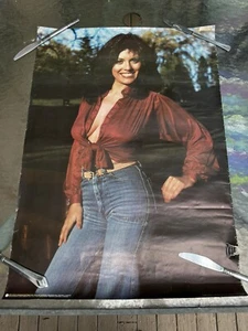 Vintage 1979 Julie Belmonte Pin-Up Poster Sexy Model Sexy Female Woman Playboy - Bild 1 von 10