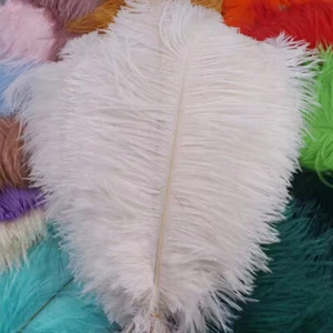 10 Pack Premium Ostrich Feathers – Farm-Fresh Vibrant Plumes Festive Home Decor - Picture 1 of 34