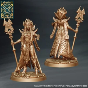 Dark Elf Priestess V2/Menzoberranzan/ Dungeons and Dragons/Miniaturas Labyrinth - Imagen 1 de 1