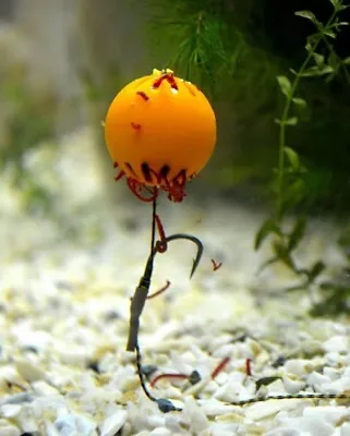 Karpela Cont Bait Container