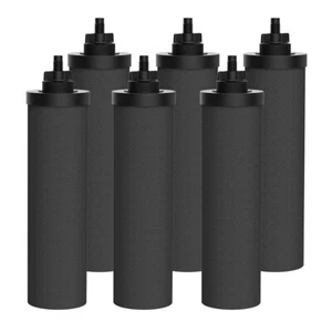 6 un. cartuchos de repuesto para purificador de filtro de agua de carbono negro de gravedad BB9-2 - Imagen 1 de 14