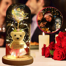 Light Up Rose in Glass Dome Infinity Flower Birthday Bear Gift For Her Xmas Gift