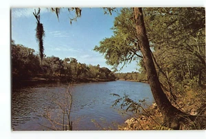 Postkarte des Suwannee River Branford Florida - Bild 1 von 2