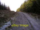 Photo 6X4 Forestry Track Cow Pasture/Sd8279 Track Through Conifer Planta C2006
