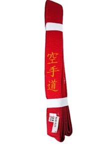 CINTURA ROSSA KARATE RICAMATA per Iaido Aikido Kenjutsu Bujutsu Kobudo Jujutsu - Imagen 1 de 3