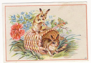 Two Bunny Rabbits in a Basket Victorian Trade Card - Picture 1 of 2