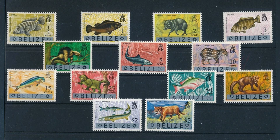 [107604] 伯利兹 1973 年第一套 OVP Br。 洪都拉斯邮票野生动物鱼全新邮票 — 第 1/1 张图片