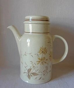 ROYAL DOULTON  SANDSPRITE LS1013 COFFEE POT 220mmHIGH - GOOD CONDITION  - Picture 1 of 2