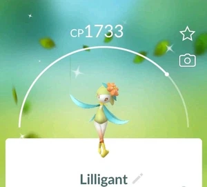 Pokemon GO/Shiny Hisuian LILLIGANT/Registrado o no registrado Tr@de Disponible - Imagen 1 de 1