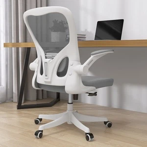 Ergonomic High Back Mesh Office Chair w/ Headrest, Flip-up Arms, Lumbar Support - Picture 1 of 10