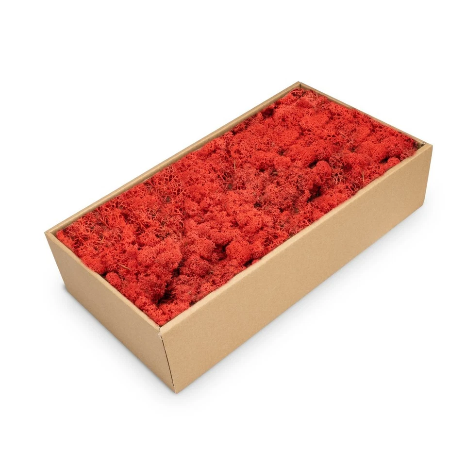NaDeco Islandmoos rot 500g | Rentier Moos | Deko Moos | Bastel Moos