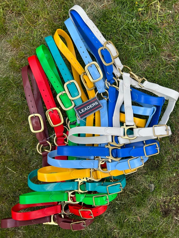 Halter sintético Leaders para tamanho completo/cavalo! 8 ótimas cores! - Imagem 1 de 4